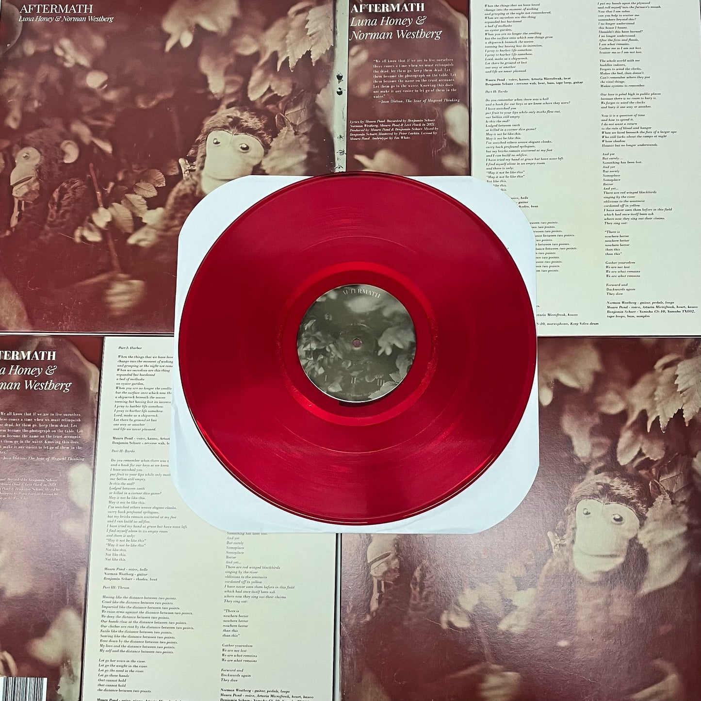 clear red 12" custom vinyl record from Hellbender Vinyl (Pittsburgh, PA)