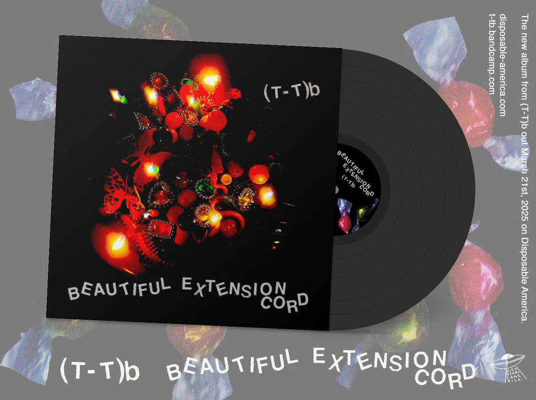 Some of our work: the (T_T)b album