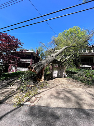 Derecho in Pittsburgh