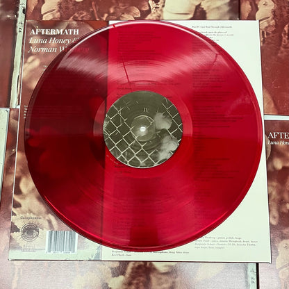 clear red 12" custom vinyl record from Hellbender Vinyl (Pittsburgh, PA)