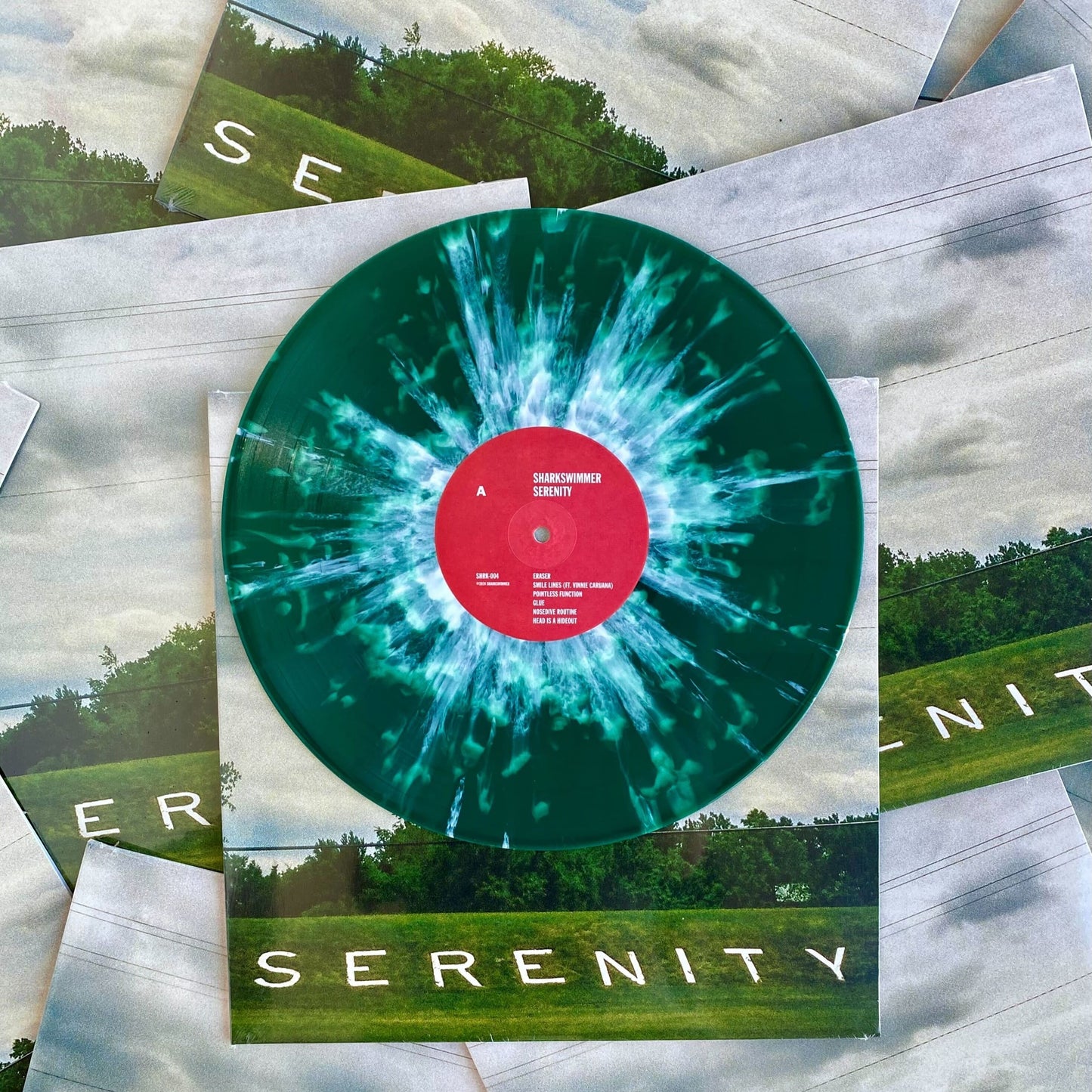 Vinyl record with a colorful design and 'Serenity' text, surrounded by album covers.